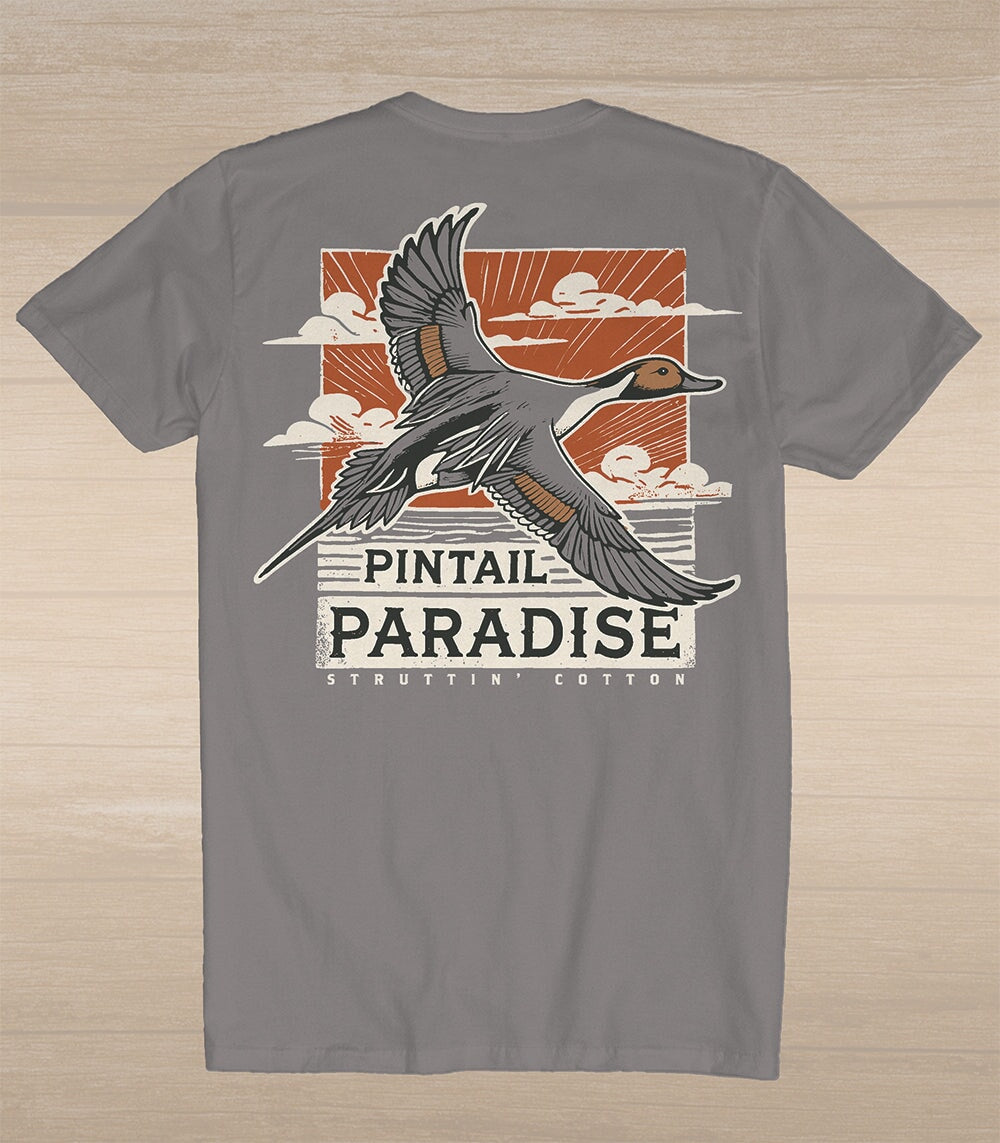 Pintail Paradise